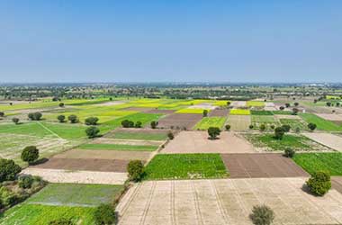 Plots-and-lands Plots-and-lands